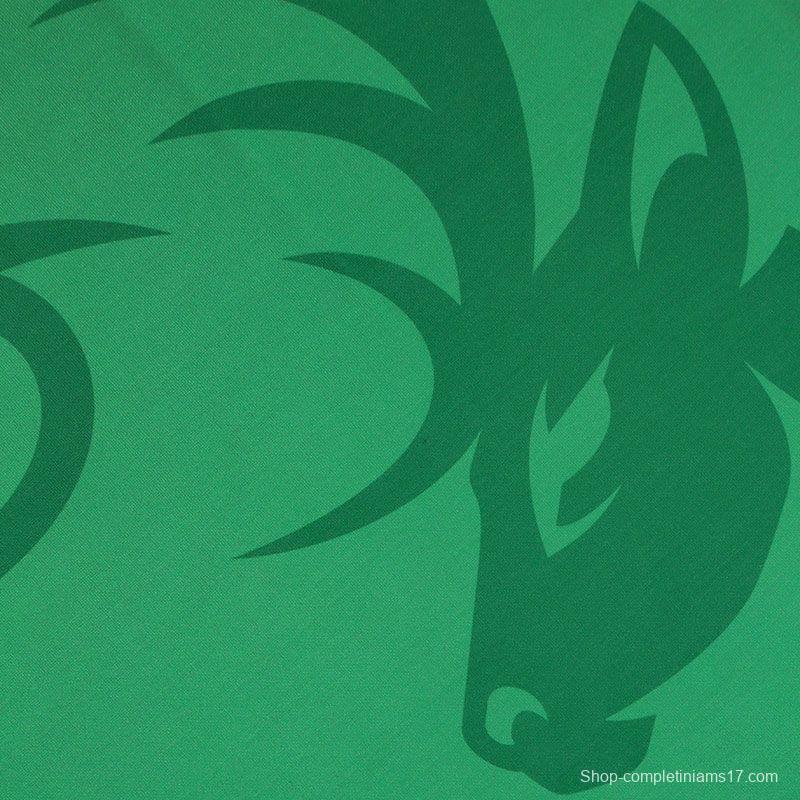 Kerry GAA 2 Stripe Home Men's Jersey 2022