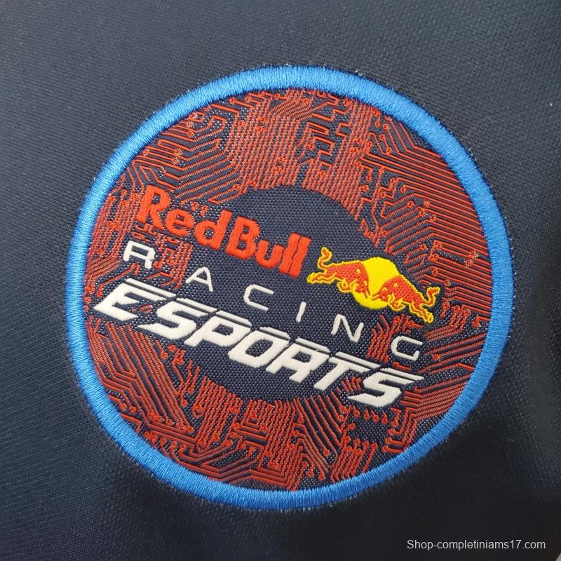 F1 Red Bull Gaming Edition 