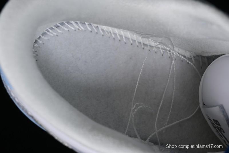 Nike Dunk Low SB Skateboarding Shoes - FD2562-300