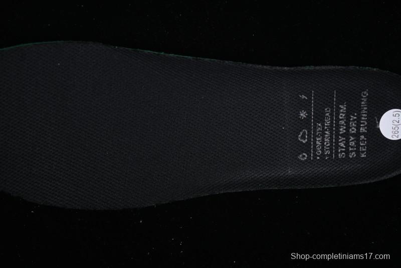 Nike Air Zoom Pegasus 41 GTX Running Shoes with Mesh Breathability and Durable Design - FQ1356-001